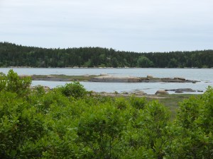 Vinalhaven Basin