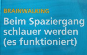 brainwalk